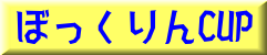 �ڂ������CUP 