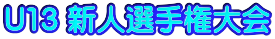 U13 �V�l�I�茠���